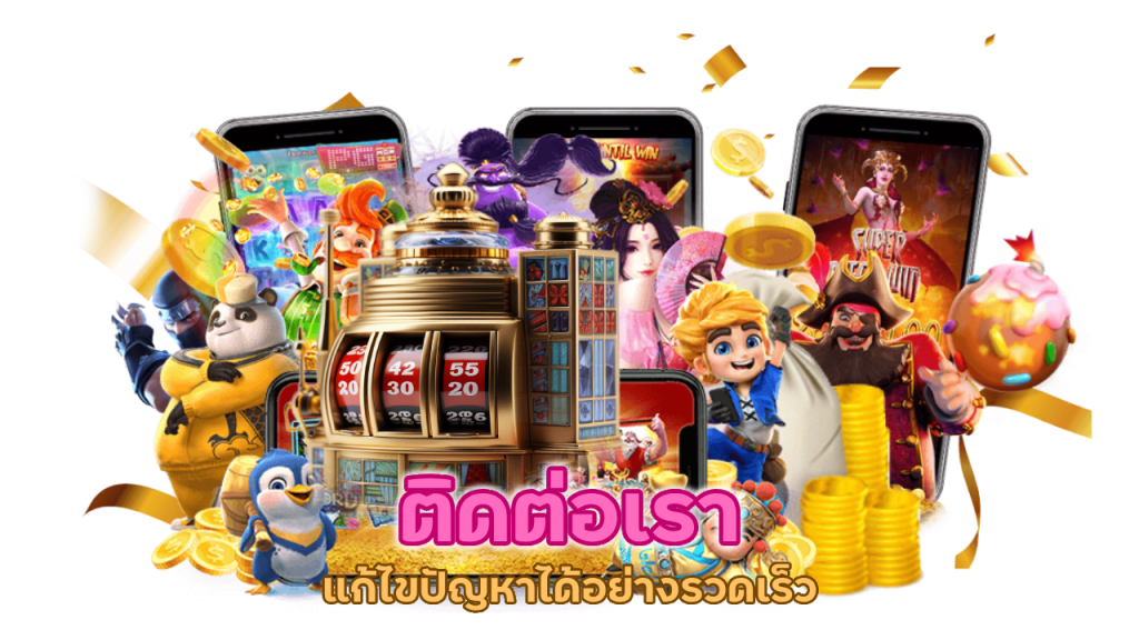 ติดต่อเรา